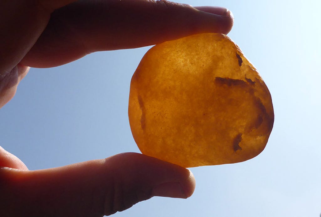 A piece of amber held up against the light
